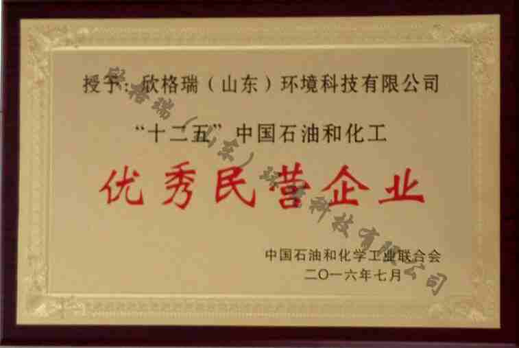 中國石油和化工優秀民營企業