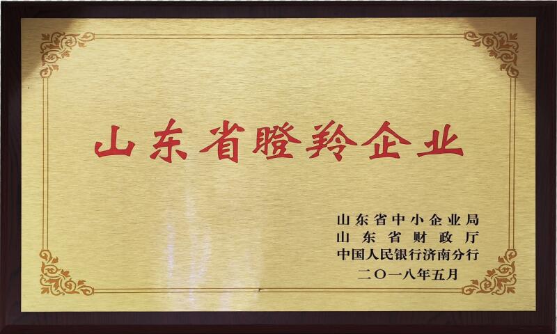 山東省瞪羚企業