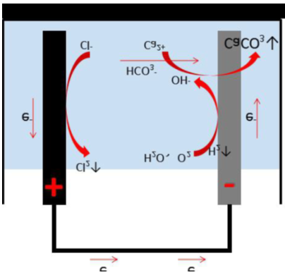 圖片.png 圖片.png