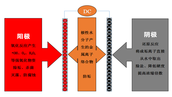 圖片.png 圖片.png